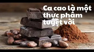 Ca cao l&agrave; một thực phẩm tuyệt vời với rất nhiều lợi &iacute;ch cho sức khỏe hổ trợ giảm c&acirc;n