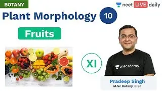 Plant Morphology - L 10 | Fruits | Unacademy NEET | Live Daily | Botany | Pradeep Sir