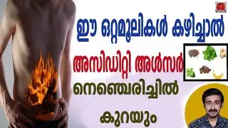 ഈ ഒറ്റമൂലികൾ കഴിച്ചാൽ അസിഡിറ്റി അൾസർ നെഞ്ചെരിച്ചിൽ കുറയും Ulcer Medicine and Food