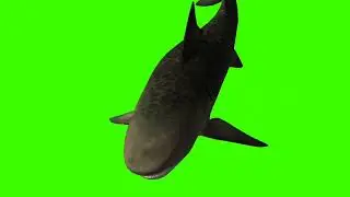monster shark/shark/scary cartoon shark/ green screen water animal/3D shark