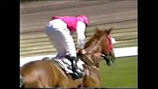 Flemington 9 Races Stakes Day Sat 9 Nov 2002