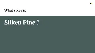Silken Pine color #495d5a hex color - Green color - Warm color 495d5a