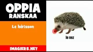 Oppia Ranskaa = Le h&eacute;risson