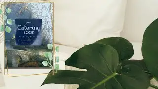 МАРАФОН ОБЗОРОВ 3 ДЕНЬ: THOMAS KINKADE COLORING BOOK/РАСКРАСКА АНТИСТРЕСС
