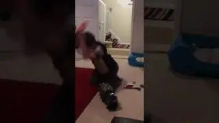Pug helping he's ASD human