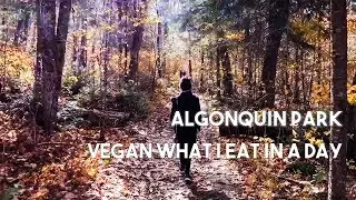 Vegan What I Eat In A Day | Algonquin Park | Vegan Travel Food