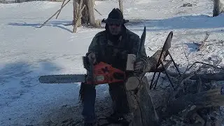 Husqvarna 450 Oak Firewood Harvest 🗡🔥