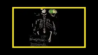 Breaking News | Skeleton shows neanderthal kids grew up like modern human children