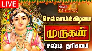 🔴LIVE செவ்வாய்க்கிழமை சஷ்டி முருகன் தரிசனம் | Murugan TEMPLE #shorts #murugan #palani #murugansongs
