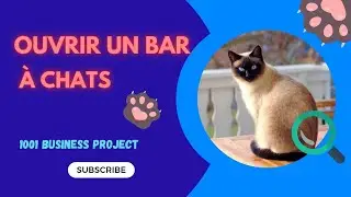 Ouvrir un bar &agrave; chats 😻👀 Un concept tendance 👍 Pour les passionn&eacute;s de f&eacute;lins 😉