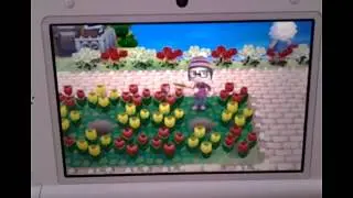 ACNL Big-Trick (Geldbaum bekommen) #23