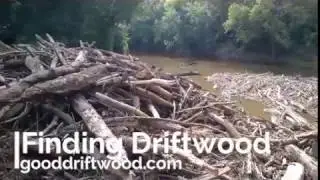 Cutting Driftwood Pieces from a Log Jam
