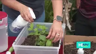 Gardening hacks from City Mill
