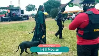 iri ji (new yam) festival Mbaise 2025 with eagle schnapp #nairatriangle #entertainment #festival