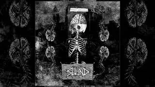 Slund - Brain Dysfunction 7