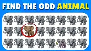 FIND THE ODD ONE OUT  |🐒 MONKEY 🐙 OCTOPUS 🦩 FLAMINGO 🐐 GOAT 🐠 FISH 🦜 PARROT