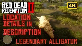 RDR2 LEGENDARY ALLIGATOR | LOCATION: SOUTH OF LAGRAS, LEMOYNE | RED DEAD REDEMPTION 2
