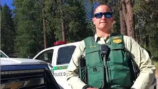 Taking on the Kings Forest Police!