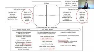 How We Catch Our Partner's Stress and How It Affects our Relationships & Health