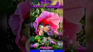 #youtube #tamilsong #Good morning.