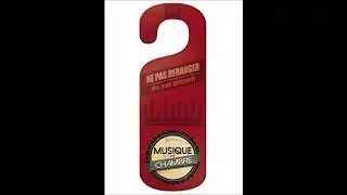 RIKS MDC - instrumental d24