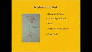 Red Trees 1 - IRS Informational Video: Radiant Orchid