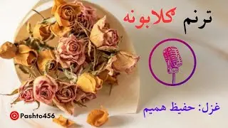 ګلابونه ترنم | Gulaboona Taranum