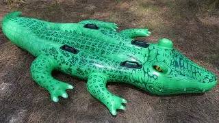 Alligator Ride-On Pool Toy from Intex
