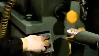 Automatic Persimmon and apple peeling machine