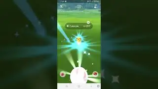 Finding a Shiny Caterpie in Pokemon Go!