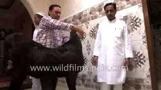 Sacrificial goat readied for slaughter during Id-ul-Azha