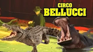 Circo Bellucci: i coccodrilli di Walter Martini e l’ippopotamo “Paolina” di Pasquale La Veglia- 2025