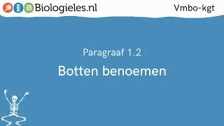 Vmbo-kgt 1 | Stevigheid en beweging | 2. Botten benoemen | Biologieles.nl