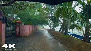 Heavy Rain Falling on a Tropical Green Village  | ASMR Rain Walk Compilation for Deep Sleep | No Ads