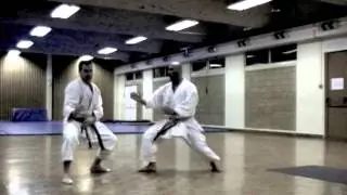Miguel XAVIER Arts-Martiaux. Libre