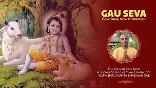Cow Protection & Devotion: The Spiritual Power of Gau Seva in ISKCON | Shri Ananta Bhagavan Das