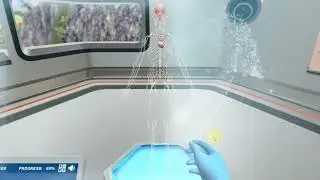 Introduction to the Nervous System: Subdivisions of the nervous system | Virtual Lab