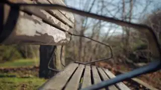 Video Shoot Parc Thomas-Chapais Decembre 2016 color grade