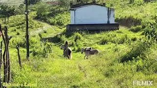 Aventura em 4 patas com meu irmão. 