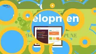 seo company in pune