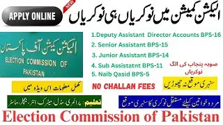 Election Commission Pakistan Jobs 2024 | ECP jobs 2024 | ecp jobs apply | ecp jobs online apply |ecp