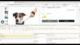 Microsoft bing ads tracking error fixed On Shopify | A UET event was fired from within an IFrame