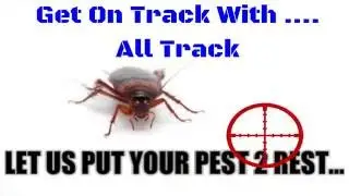 Call Now 626-344-2464|Pest Inspection Pasadena Ca|Ant Termites Cockroaches: Ant Control Inspection