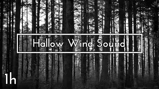 Hollow Wind Sound - 1h