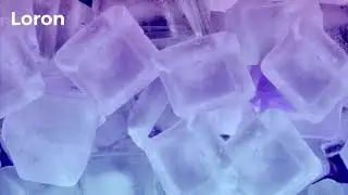 Psalm Trees - fever
