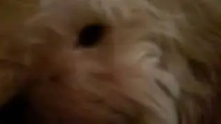 VID00273