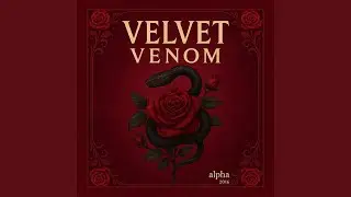 velvet-dynasty（ベルベット・ダイナスティ）