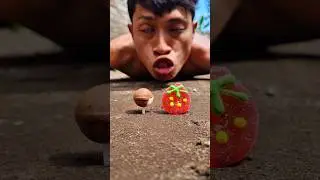special surprise for little centipede, really cute #millipede #shortvideo