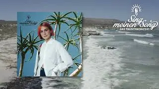 Alli Neumann - Pass auf sie auf (Safe) (Sing Meinen Song Vol. 10)