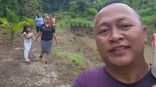Tebang Pokok Mulung Di Kebun #janganlupasubscribe #mujahchannel 